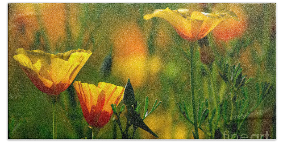 California Poppies Hand Towel featuring the photograph California Poppies by Deb Halloran