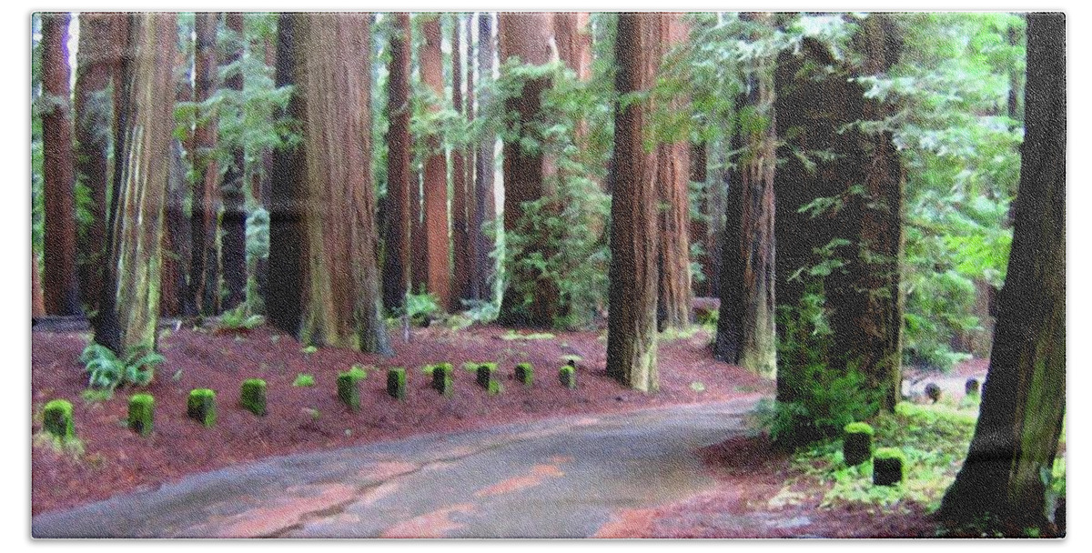 California Redwoods 3 Bath Sheet featuring the digital art California Redwoods 3 by Will Borden