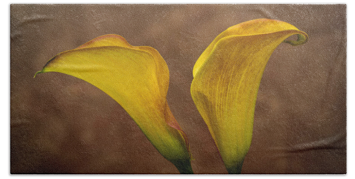 Green Hand Towel featuring the photograph Calla Lilies by Sebastian Musial