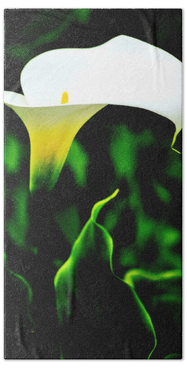Flowers Bath Towel featuring the photograph Calla Lily by Benjamin Yeager