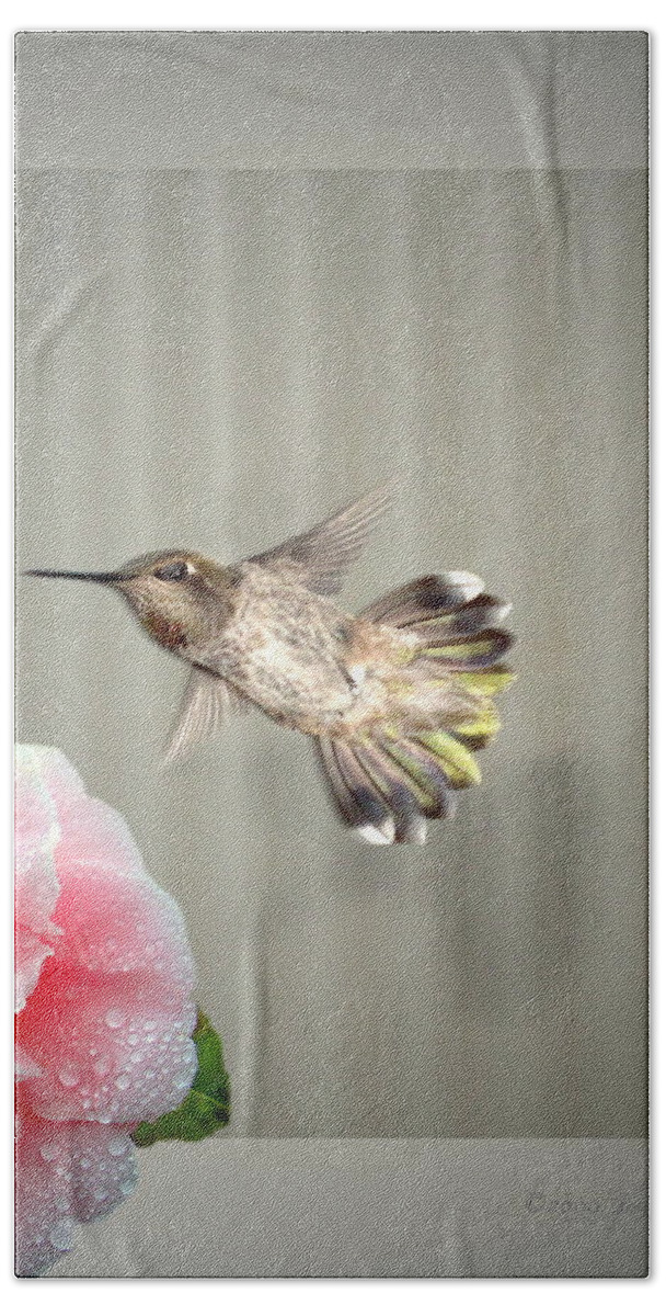 Hummingbird Bath Towel featuring the photograph Camellia and Hummer by Joyce Dickens