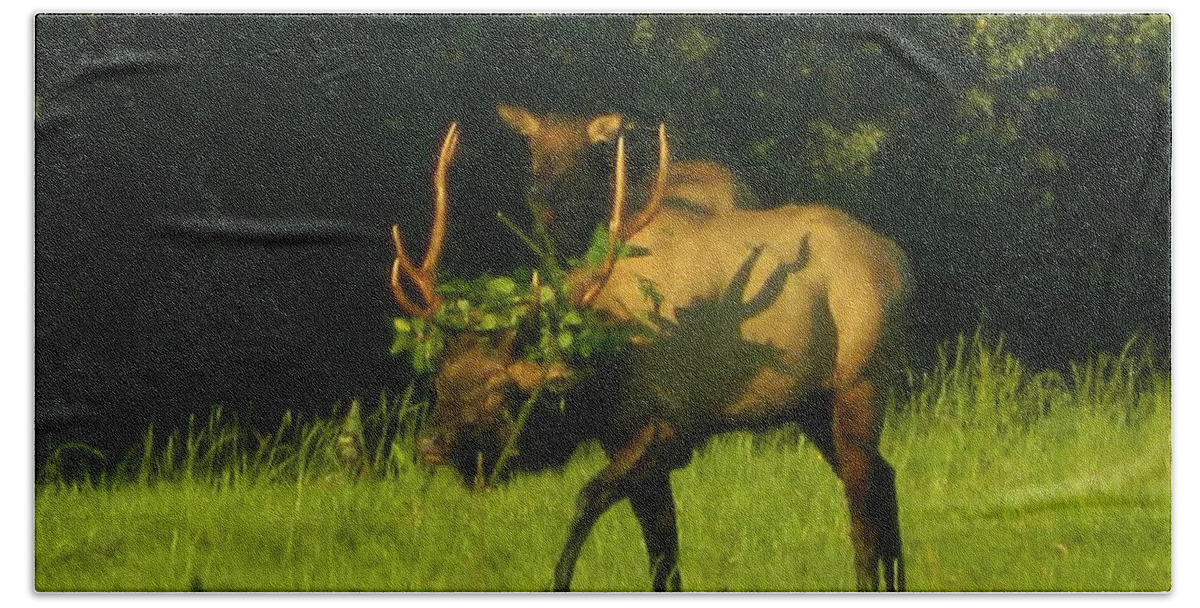 Elk Bath Towel featuring the photograph Camoflaged Elk With Shadows by Gallery Of Hope