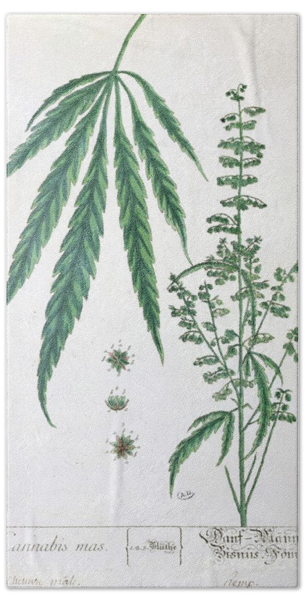 Cannabis Bath Towel featuring the painting Cannabis by Elizabeth Blackwell