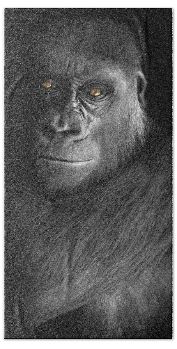 Gorilla Bath Towel featuring the photograph Can't Escape by Diana Angstadt