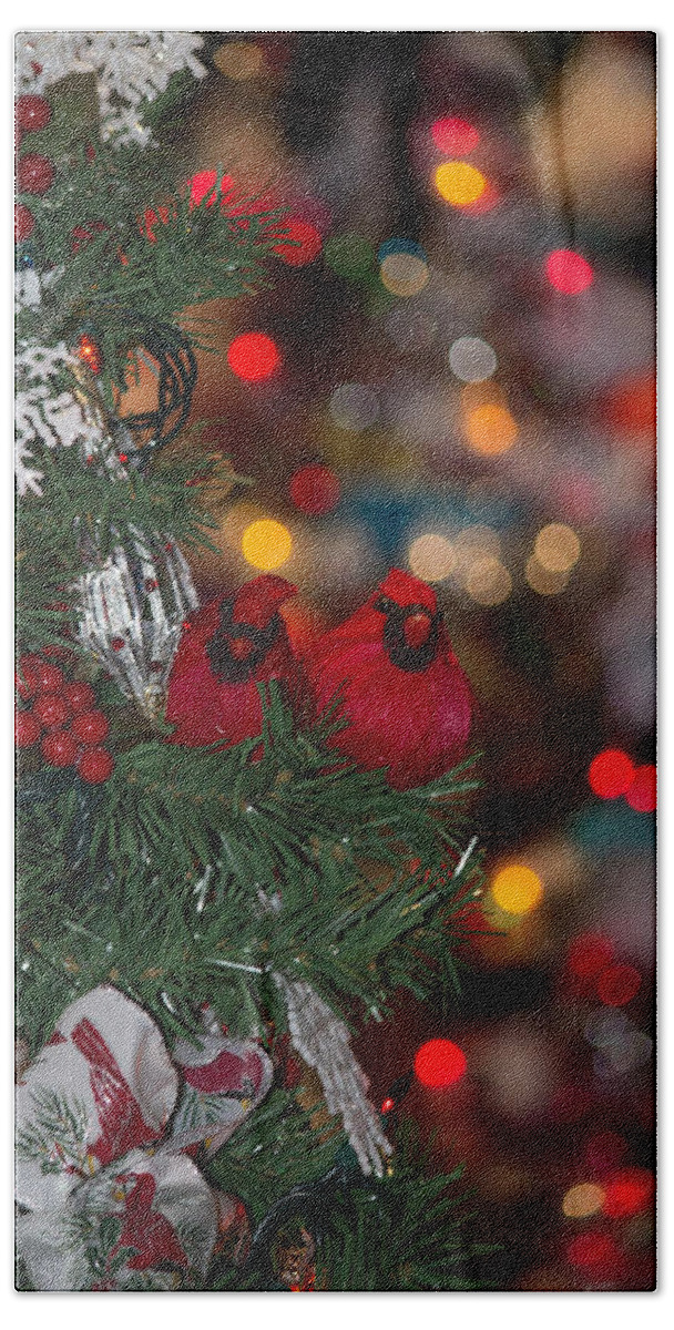 Birds Bath Towel featuring the photograph Cardinals by Patricia Babbitt