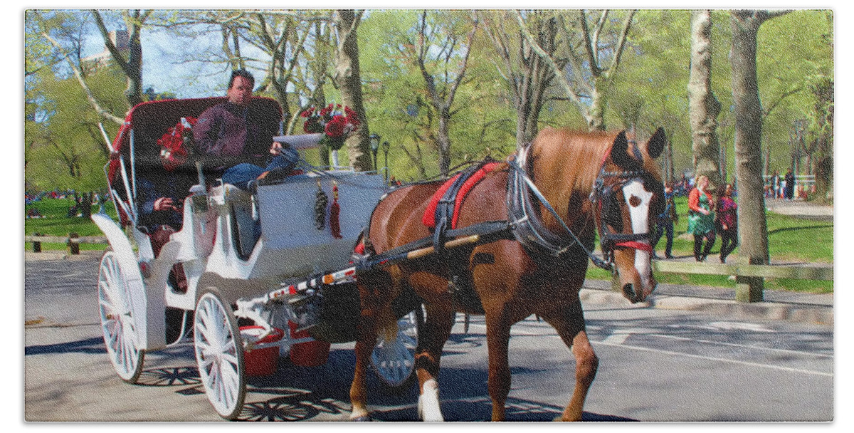Nyc Bath Towel featuring the photograph Carriage Ride in Central Park by Eleanor Abramson