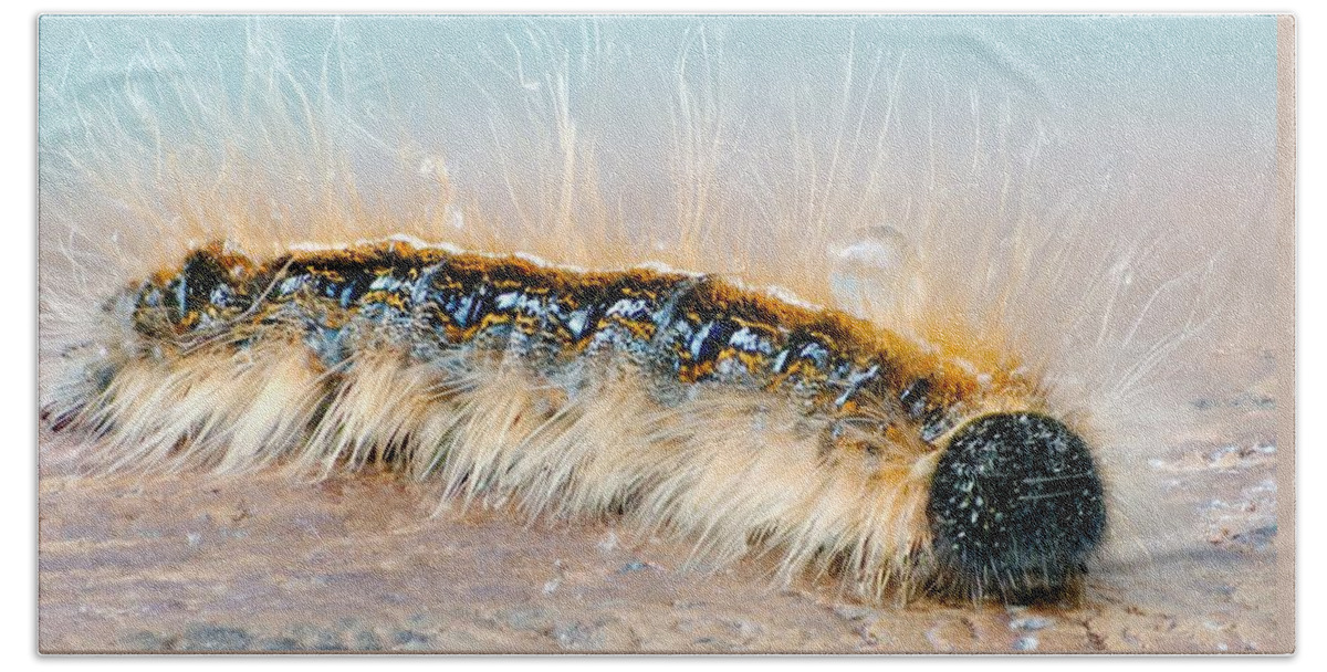 Caterpillar Bath Sheet featuring the photograph Caterpillar-02 by Larry Jost