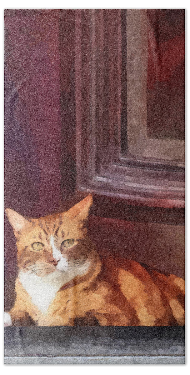 Cat Bath Towel featuring the photograph Cats - Orange Tabby in Doorway by Susan Savad