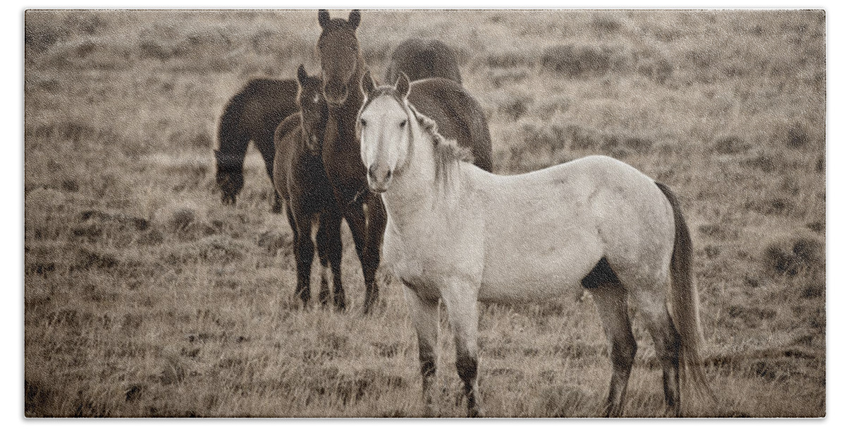 Horizontal Bath Sheet featuring the photograph Cautious - Wild Horses - Green Mountain - Wyoming by Diane Mintle