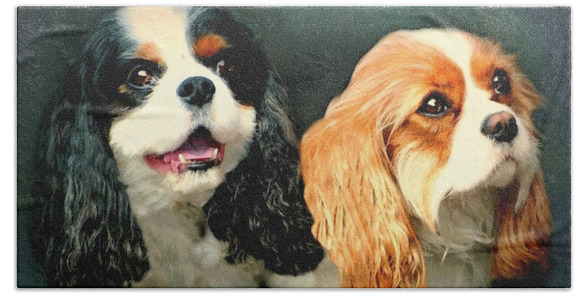 Dogs Hand Towel featuring the photograph Cavalier King Charles by Diana Angstadt