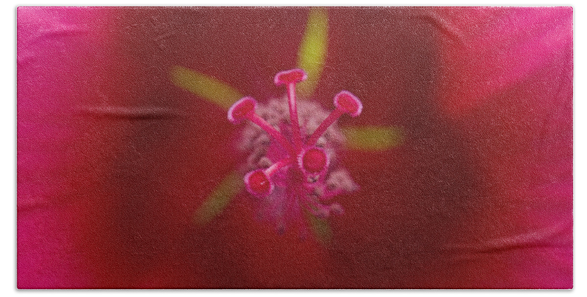 Red Hand Towel featuring the photograph Center of a Hibiscus by Jean-Pierre Ducondi