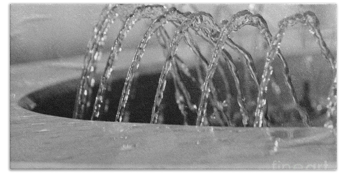 Water Hand Towel featuring the photograph Centipede by Eileen Gayle