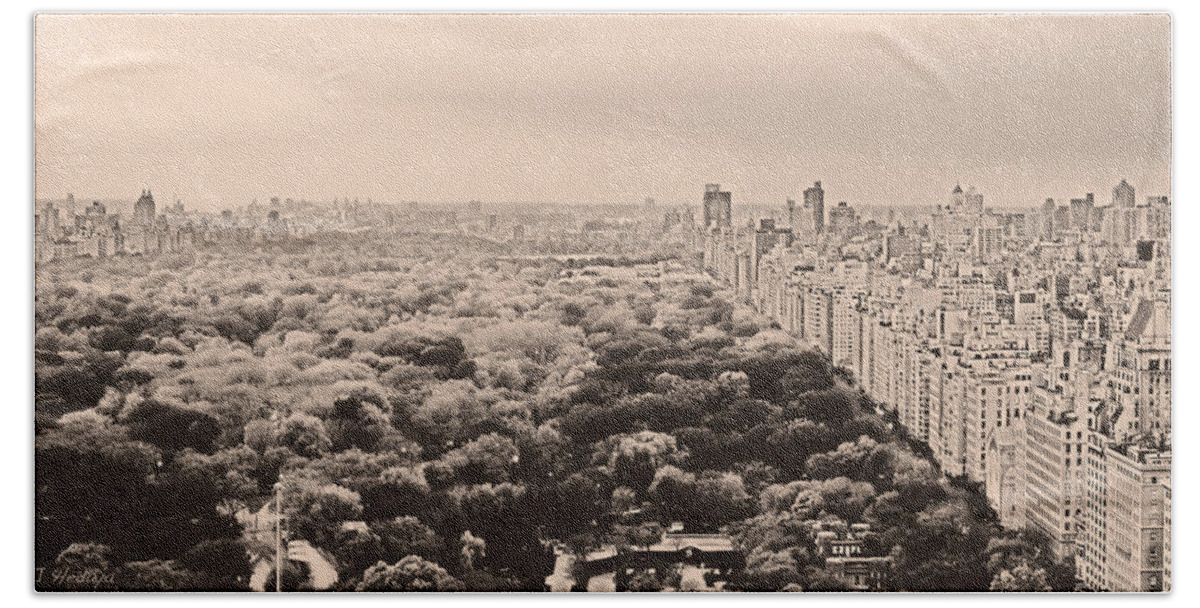 New York City Hand Towel featuring the photograph Central Park Pano Sepia by Joseph Hedaya