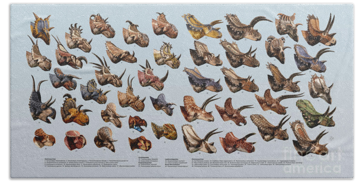 Dinosaur Bath Sheet featuring the digital art Ceratopsian Cornucopia by Julius Csotonyi