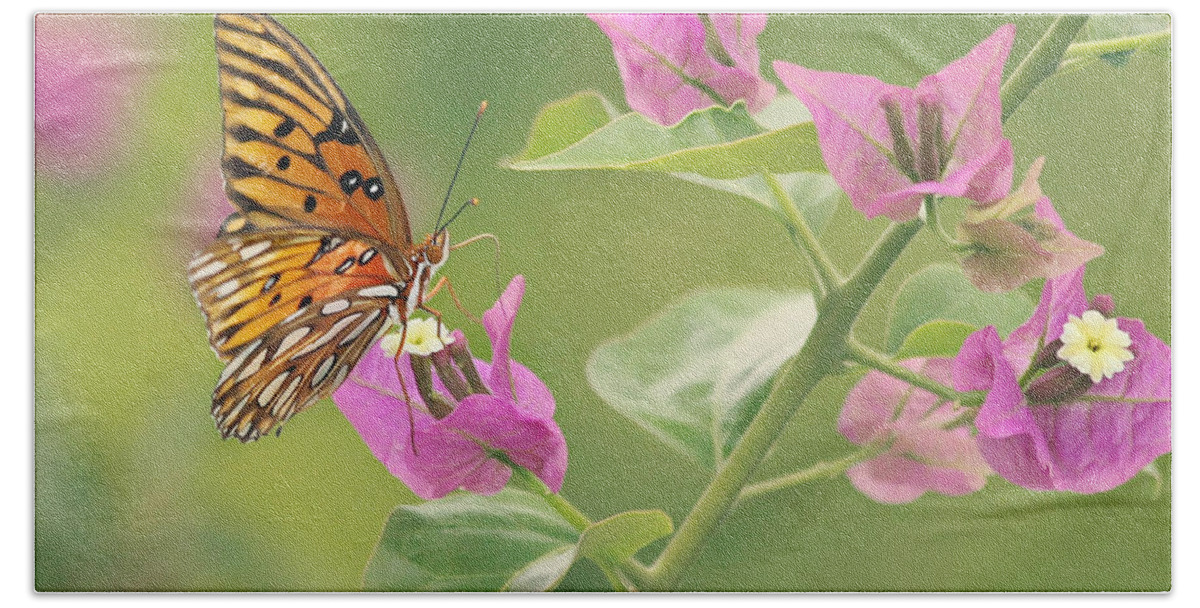 Butterfly Hand Towel featuring the photograph Chance Encounter by Kim Hojnacki