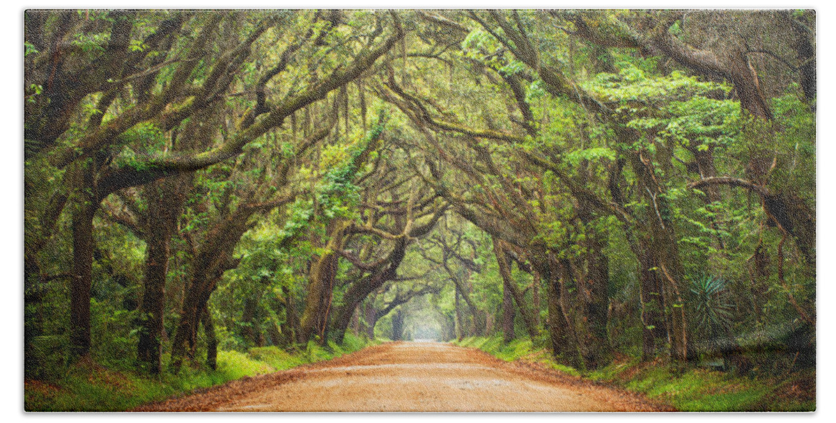 Swamp Hand Towel featuring the photograph Charleston SC Edisto Island - Botany Bay Road by Dave Allen