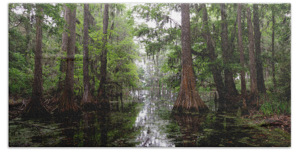 Swamp Hand Towel featuring the photograph Charleston swamp by John Johnson