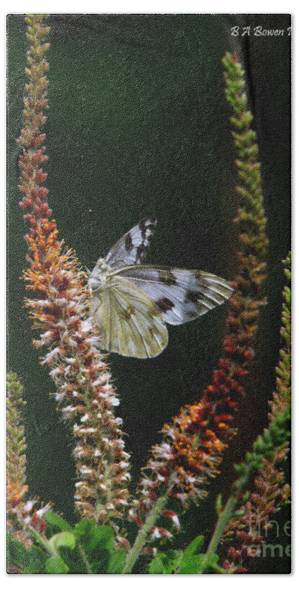 Checkered White Butterfly Hand Towel featuring the photograph Checkered White on an Indigo by Barbara Bowen