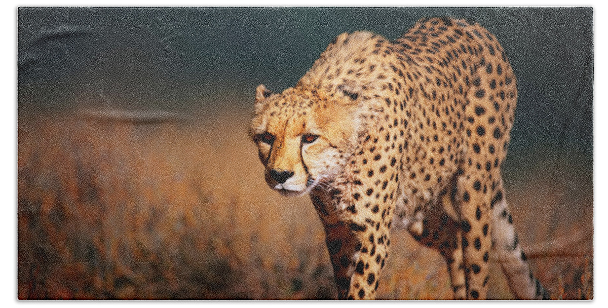 Cheetah Bath Sheet featuring the photograph Cheetah approaching from the front by Johan Swanepoel