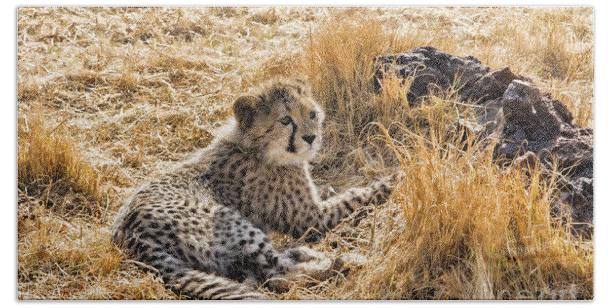 Africa Hand Towel featuring the photograph Cheetah Cub V2 by Douglas Barnard