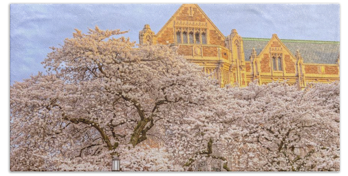 Cherry Blossoms Bath Towel featuring the photograph Cherry Blossoms by Jeff Cook