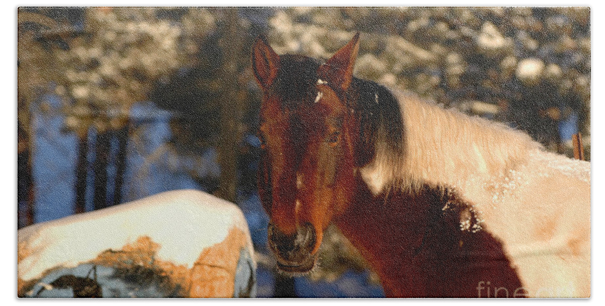 Crisp Bath Towel featuring the photograph Chestnut Horse by Joan Wallner