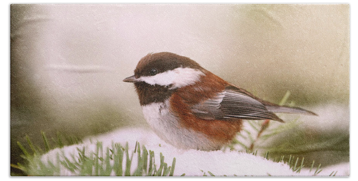 Chickadees Bath Towel featuring the photograph Chickadee in Snow by Peggy Collins