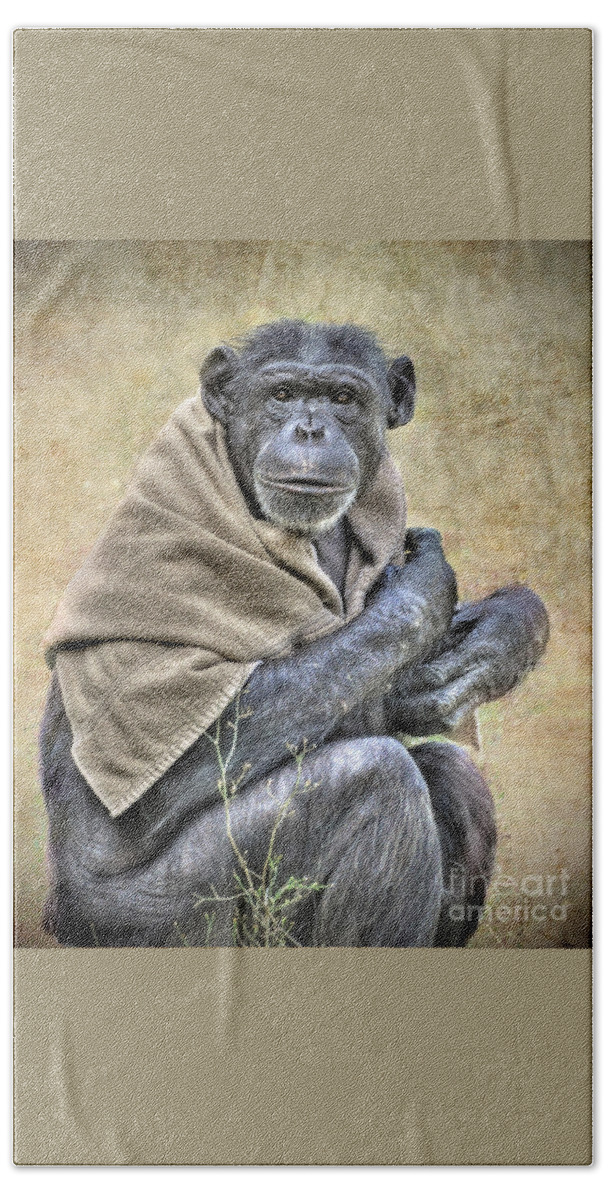 Chimpanzee Bath Towel featuring the photograph Chimpanzee by Savannah Gibbs