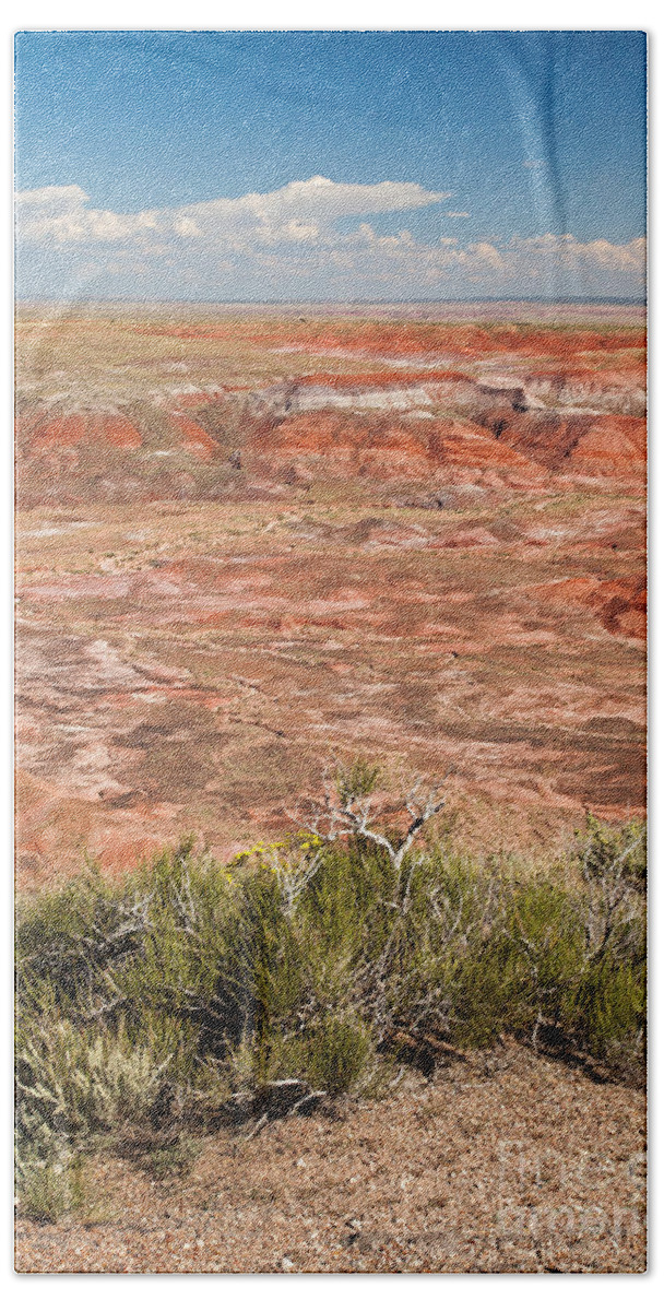 Arizona Bath Towel featuring the photograph Chinde Point Painted Desert Petrified Forest National Park by Fred Stearns