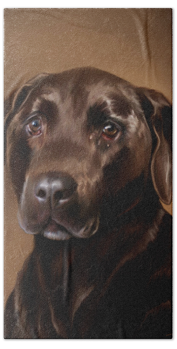 Chocolate Lab Hand Towel featuring the painting Chocolate Lab by Michael Spano