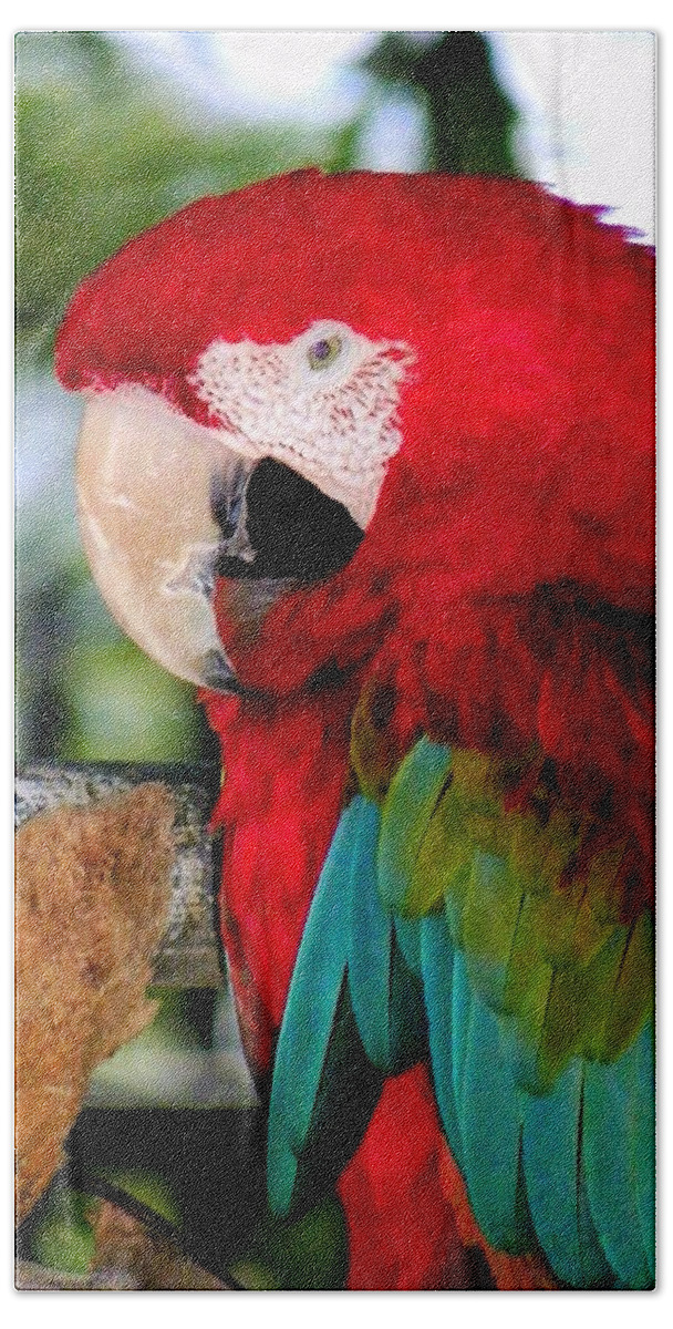 Parrot Hand Towel featuring the photograph Chowtime by Karen Wiles