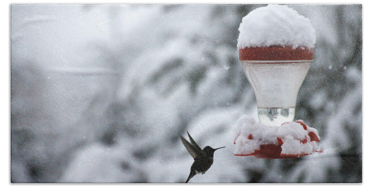 Snow Hand Towel featuring the photograph Christmas Hummingbird by KATIE Vigil