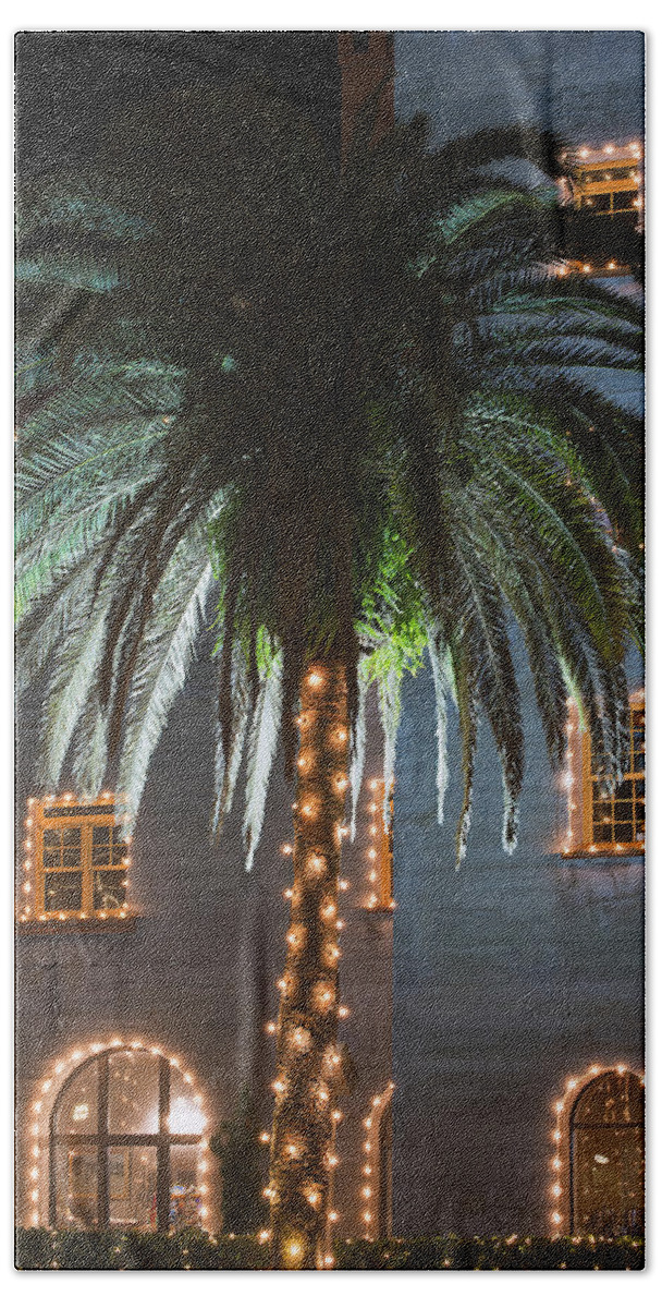 Scenery Bath Towel featuring the photograph Christmas Palm by Kenneth Albin