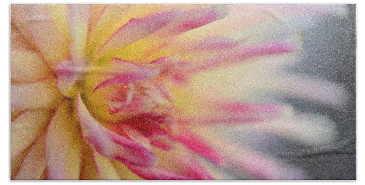 Dahlia Hand Towel featuring the photograph Cliff's Dahlia by Kathy Paynter