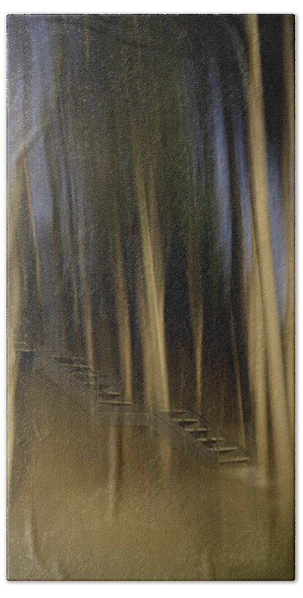Abstract Bath Towel featuring the photograph Climbing Stairs Into The Forest by Thomas Young
