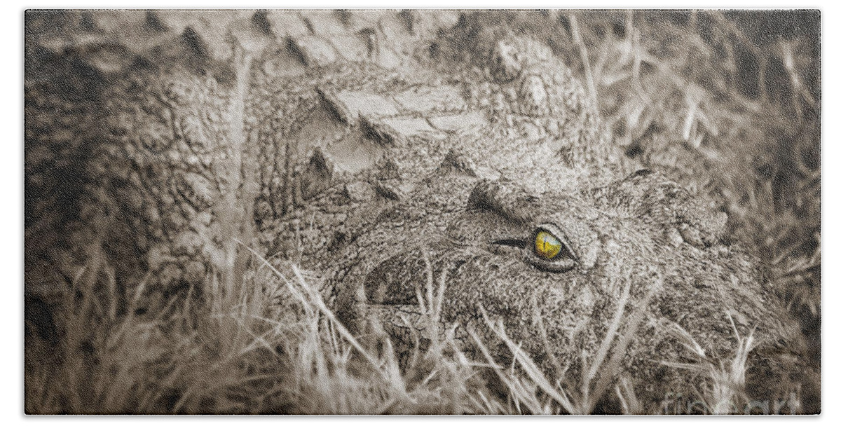 Crocodile Hand Towel featuring the photograph Close scary crocodile, Zambia by Delphimages Photo Creations