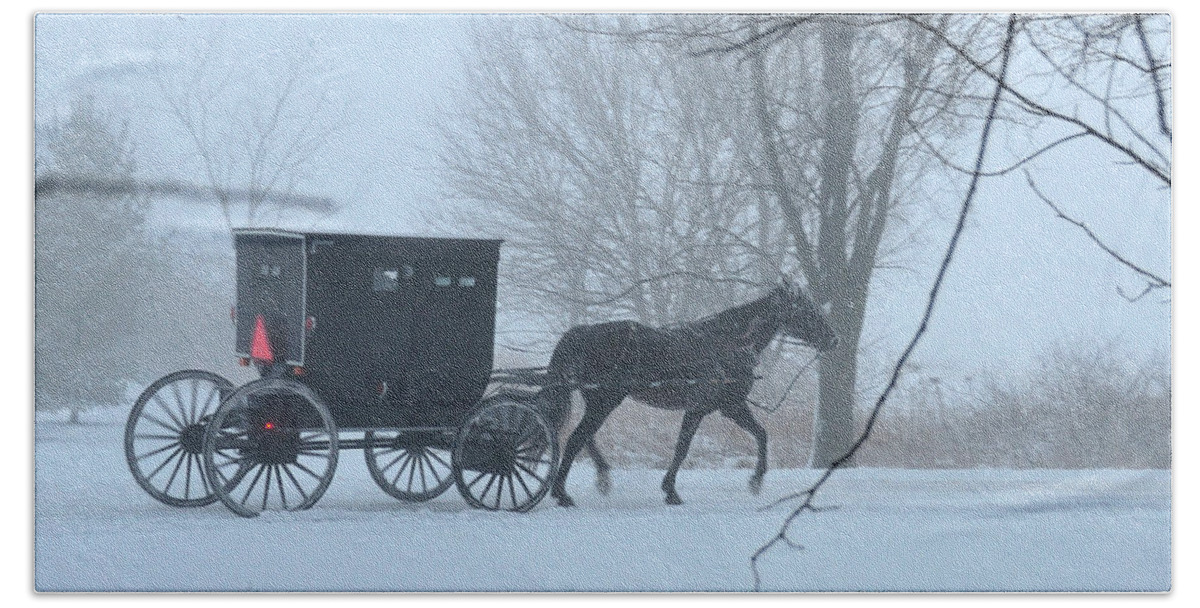 Amish Bath Towel featuring the photograph Cold Amish Morning by David Arment