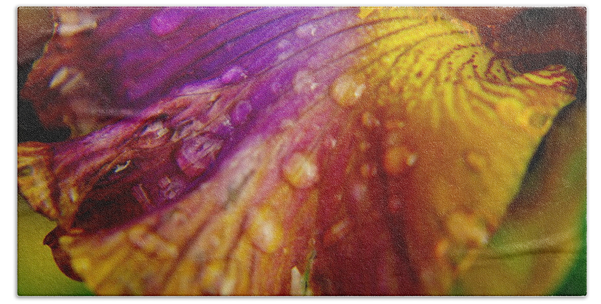 Iris Hand Towel featuring the photograph Color And Droplets by Jeff Swan