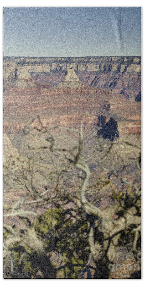 Color Bath Towel featuring the photograph Color of the Grand Canyon South Rim V2 by Douglas Barnard