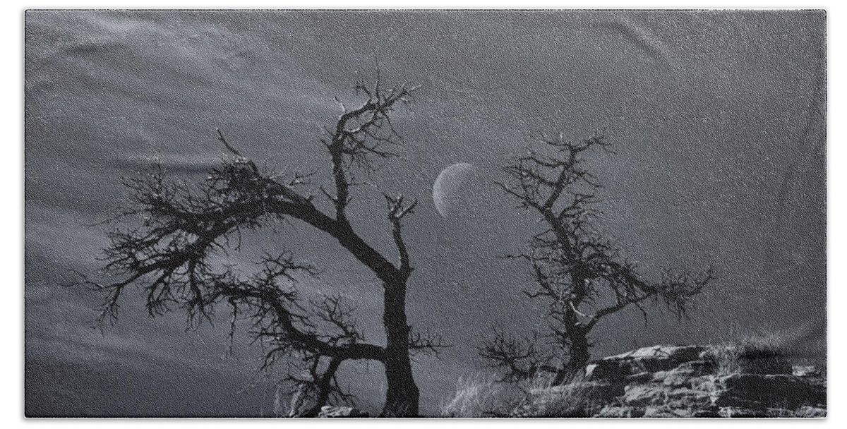 Trees Hand Towel featuring the photograph Colorado National Monument Moonrise by Darren White