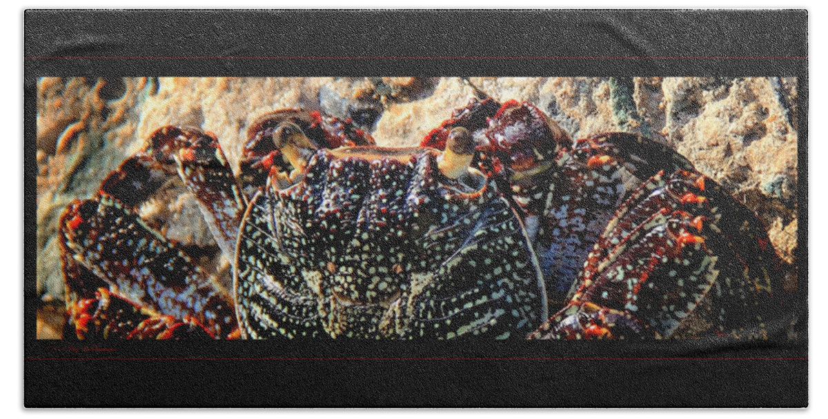 Crab Canvas Print Hand Towel featuring the photograph Colorful Crab by Lucy VanSwearingen