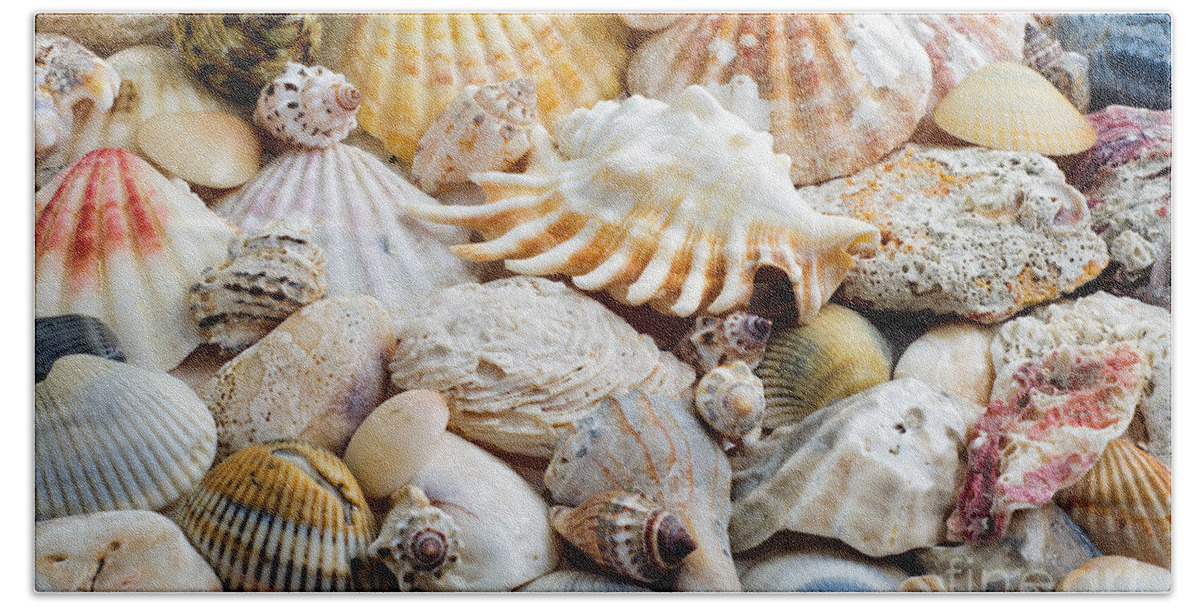 Seashell Hand Towel featuring the photograph Colorful Ocean Seashells 1 by Andee Design