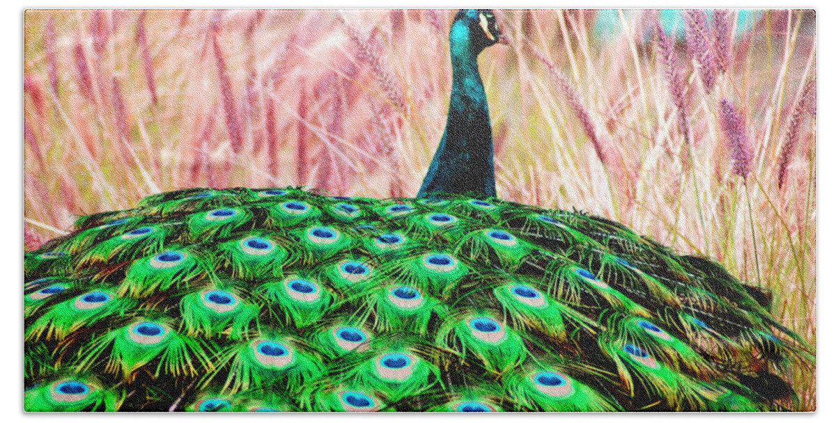 Colorful Hand Towel featuring the photograph Colorful Peacock by Matt Quest