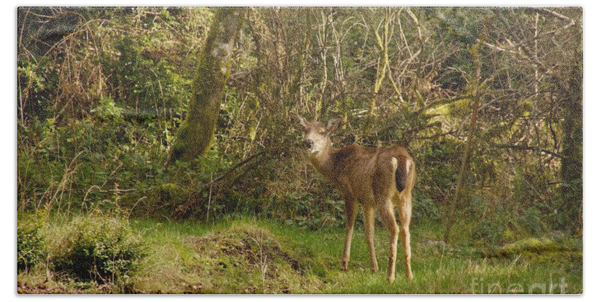 Photography Bath Towel featuring the photograph Columbian Black-tailed Deer by Sean Griffin