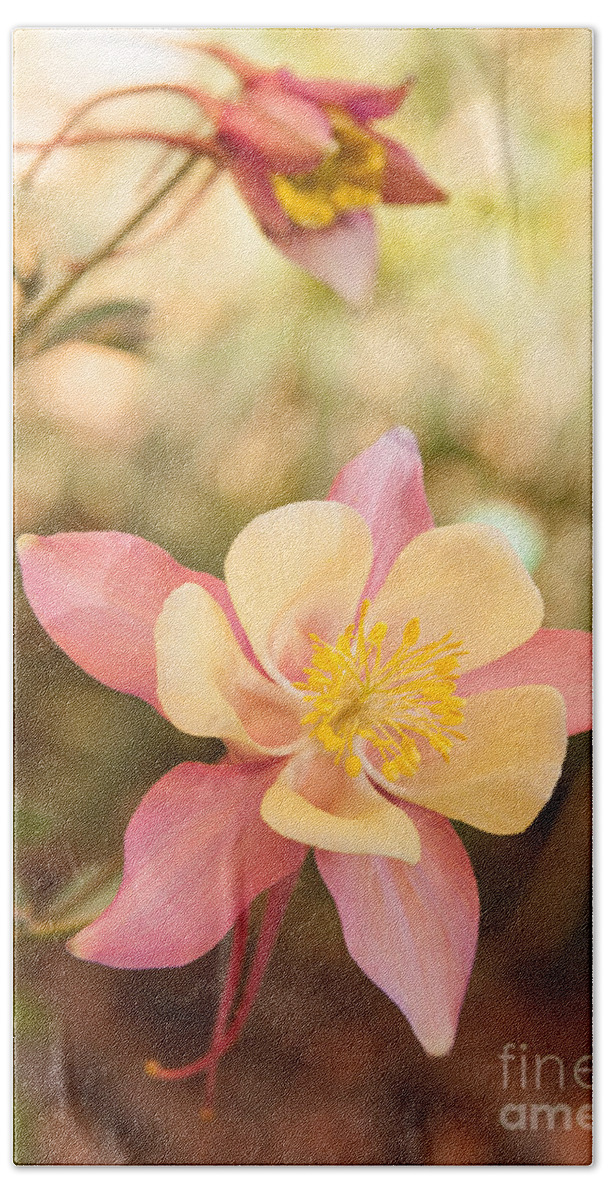  Bath Towel featuring the photograph Columbine by Roselynne Broussard