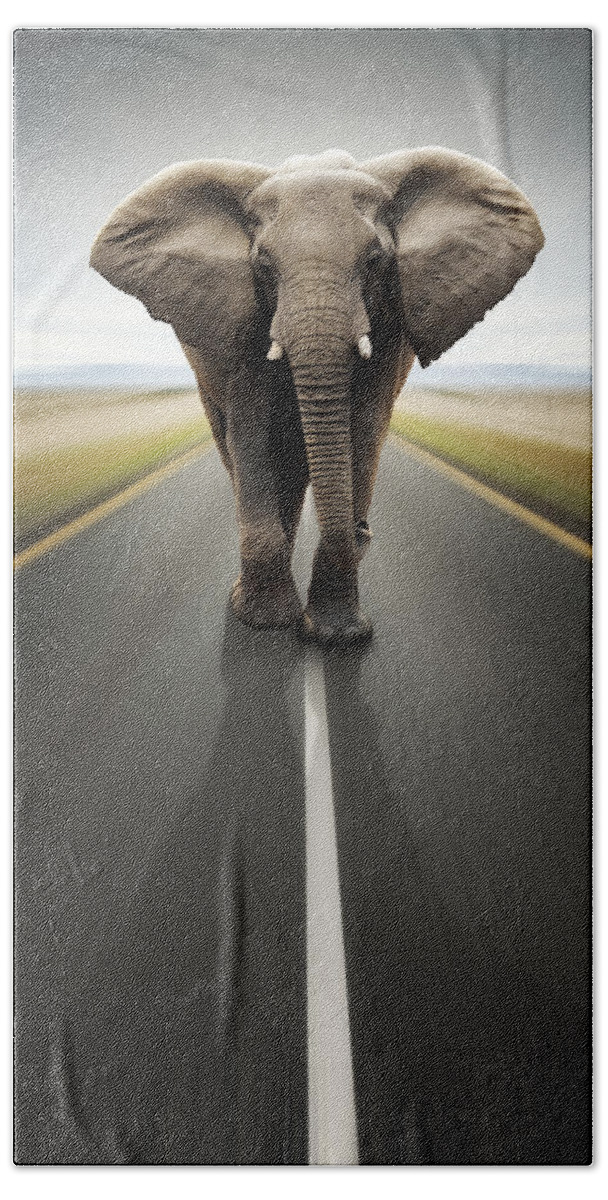 Elephant Hand Towel featuring the photograph Heavy duty transport / travel by road by Johan Swanepoel