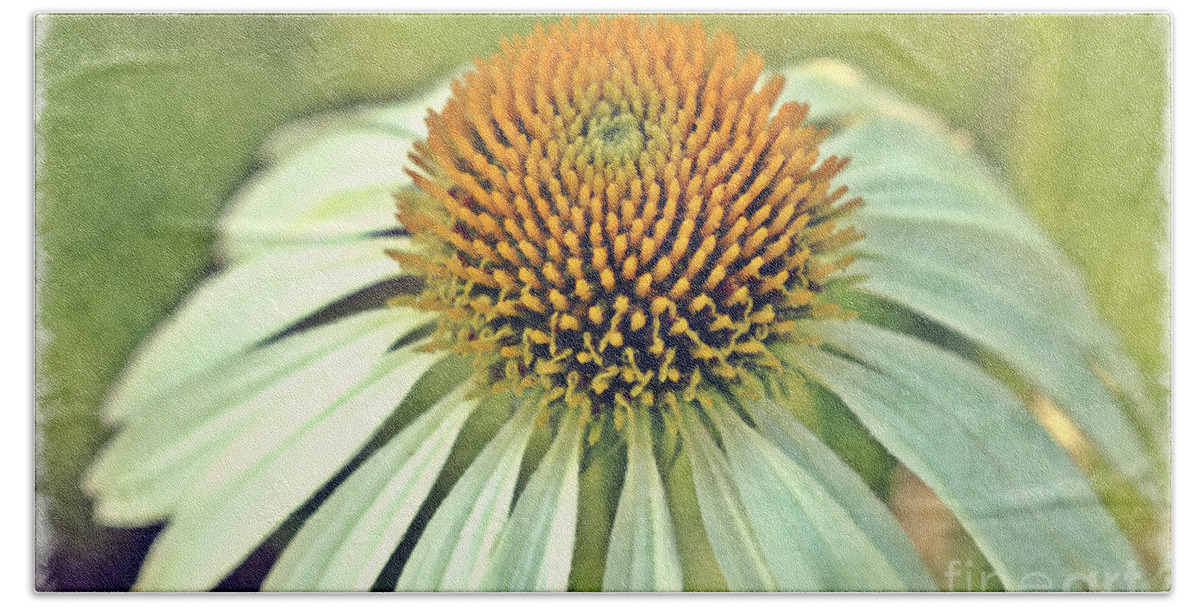 Coneflower Bath Towel featuring the photograph Coneflower by Carrie Cranwill