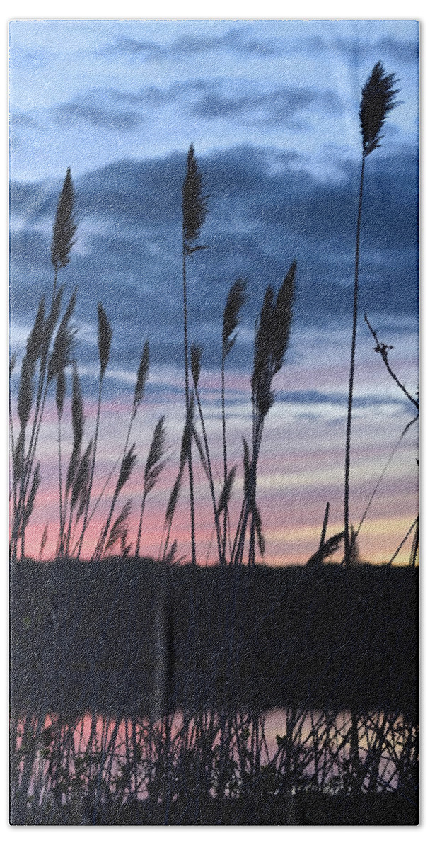 Water Hand Towel featuring the photograph Connecticut Sunset with Reeds Series 4 by Marianne Campolongo