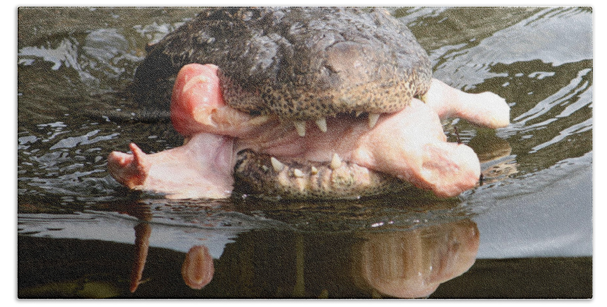 Gatorland Bath Towel featuring the photograph Contented by David Nicholls
