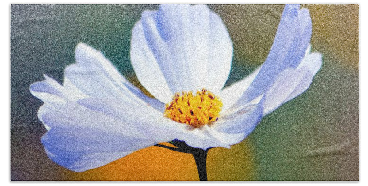 Flower Bath Towel featuring the photograph Coreopsis In White by Deena Stoddard